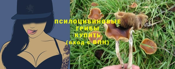 спайс Волосово