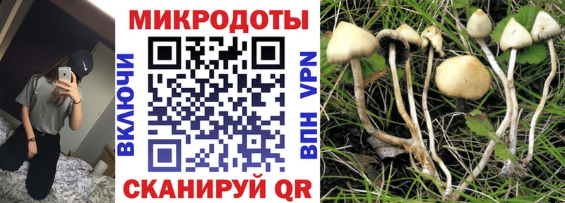 Галлюциногенные грибы мухоморы Долгопрудный