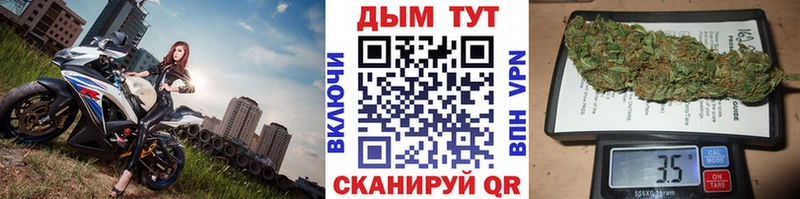 Конопля OG Kush  Долгопрудный 